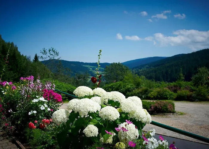 Waldschl\u00f6ssl Hotel 4*